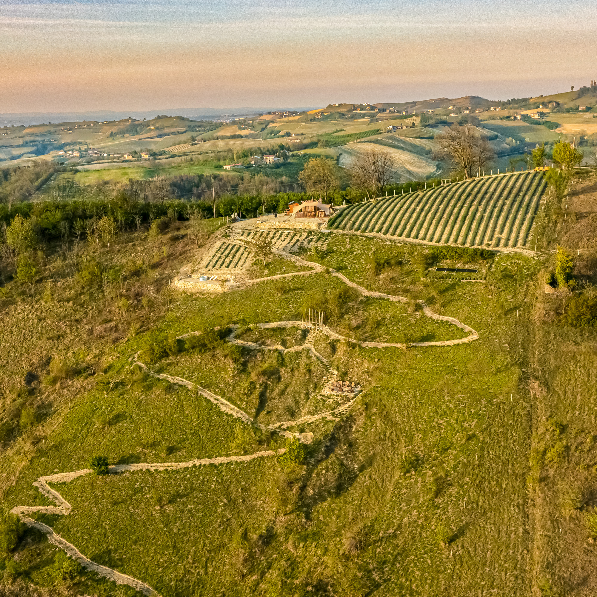 ansem enjoy life together picnic lavanda langhe